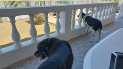 05c_WhatsApp Image 2024-09-09 at 18.00.25_95e11561